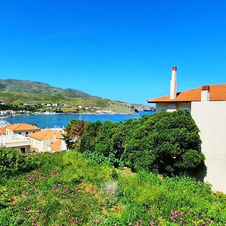 Andros Apartment - Lasia Екстер'єр фото